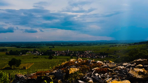 AdobeStock_110763450_Video_HD_Preview.mp4